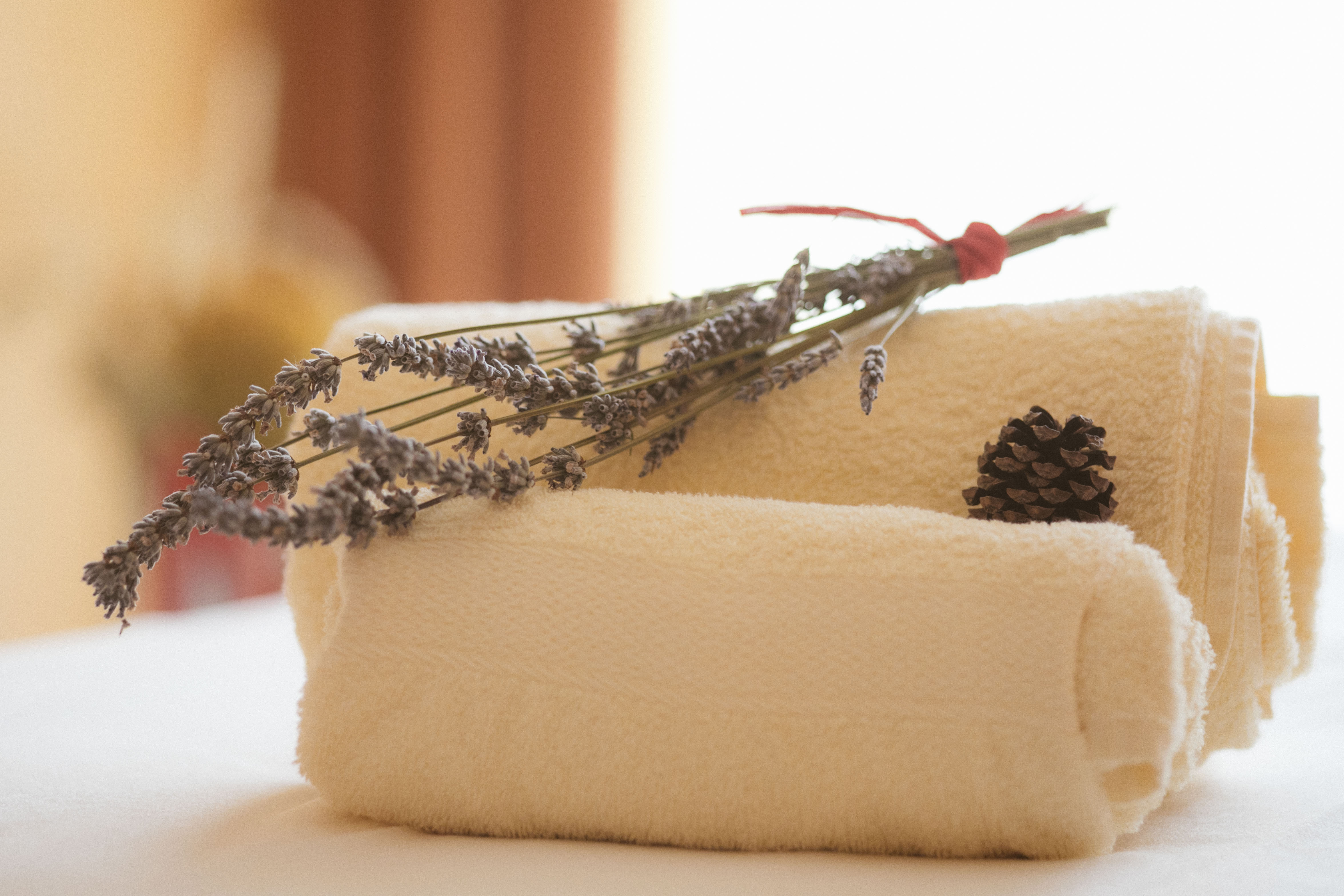 Trattamento-deluxe-PINETA_nature-spa-87-5