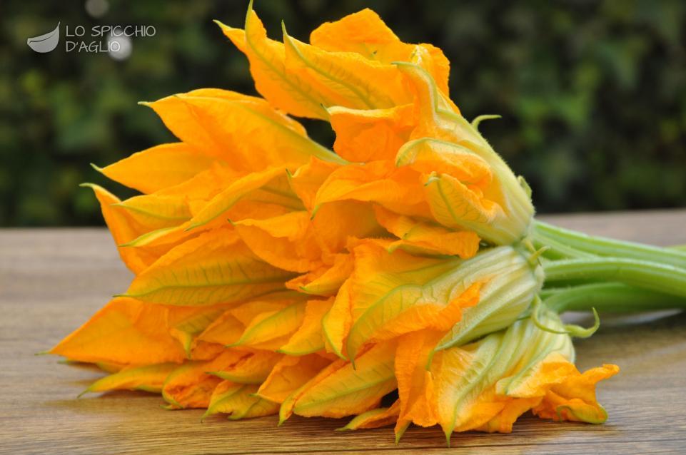 fiori di zucca-pineta-piante