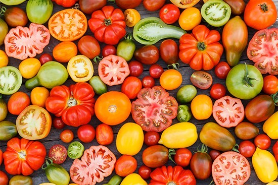 pomodori-varietà-orto-pineta