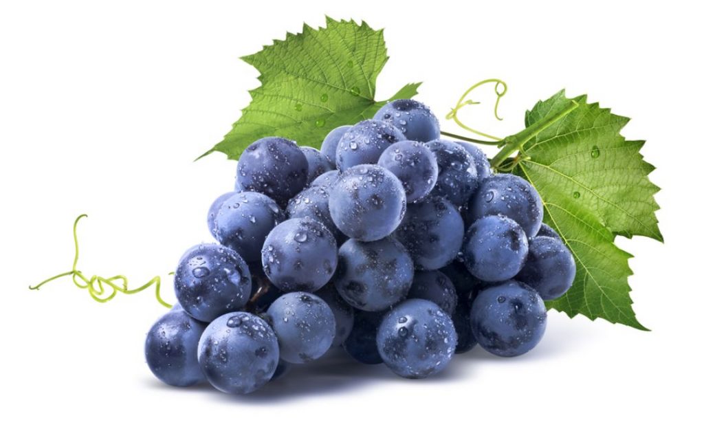 uva-orto-pineta-frutta-stagione